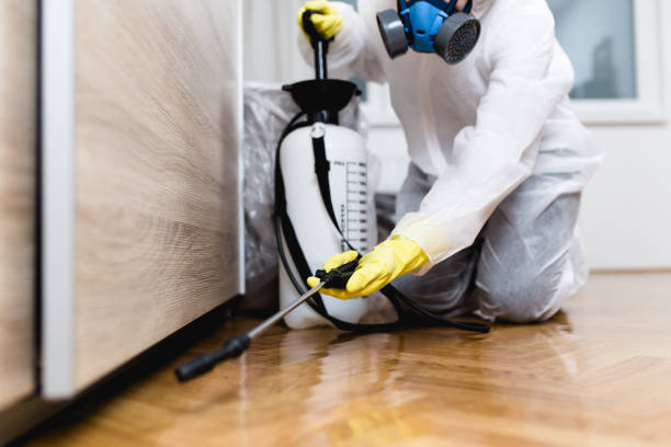 Best Mosquito Control Services  in Pajaro, CA