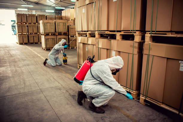 Best Emergency Pest Control  in Pajaro, CA