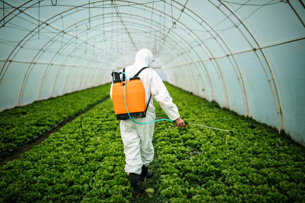Best Commercial Pest Control Services  in Pajaro, CA