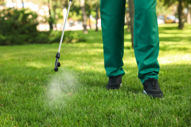 Best Pest Removal Services  in Pajaro, CA