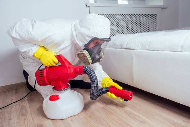 Professional Pest Control in Pajaro, CA