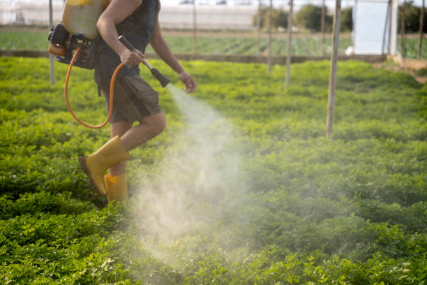 Pest Control for Restaurants in Pajaro, CA