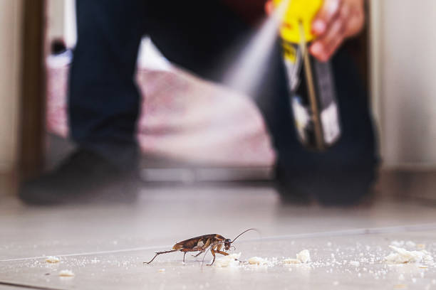 Best Best Pest Control Companies  in Pajaro, CA