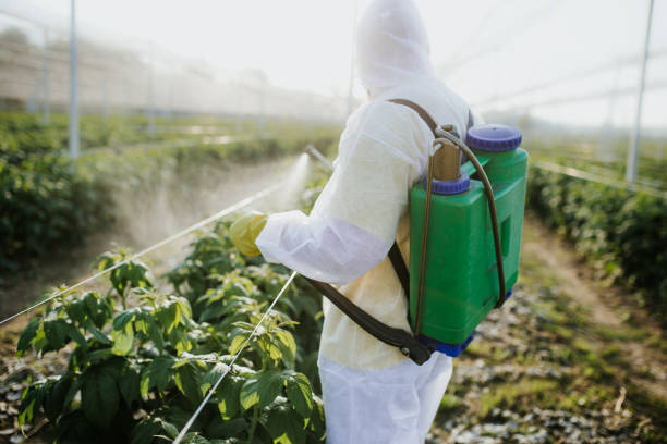 Best Best Pest Control Companies  in Pajaro, CA